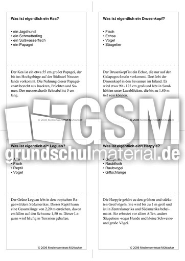 Quiz-Karten-Tiernamen 47.pdf